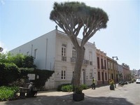 Plaza de la Junta de Canarias